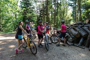 Mountainbike Tour Schwarzwald mit Bollenhut