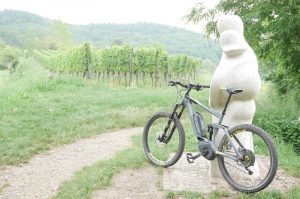 E-Mountainbike Fahrtechnik und Tour Kaiserstuhl/Mondhalde von Bollenhut
