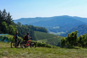 Bollenhut.bike Glottertal Schwarzwald