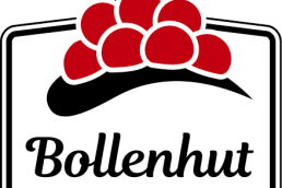 Logo Bollenhut