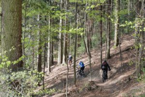 "Hei de Kuckuck- Rock & Roll im Glottertal"