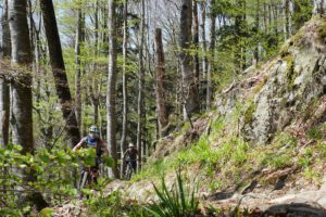 Bollenhut.bike Mountainbiketouren im Schwarzwald