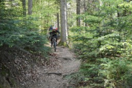 individuelle (E)-MTB Touren im Schwarzwald