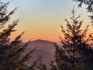 Lichterwanderung vom Kandel ins Wunderschöne Glottertal