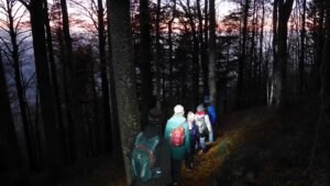 Lichterwanderung vom Kandel ins wunderschöne Glottertal