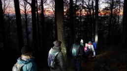 Lichterwanderung vom Kandel ins wunderschöne Glottertal