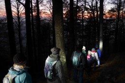 Lichterwanderung vom Kandel ins wunderschöne Glottertal