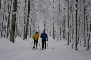 Schneeschuhwanderung