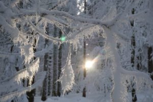 Schneeschuhwanderung