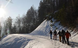 Bollenhut.bike Mondschein-Schneeschuhwanderung Kandel