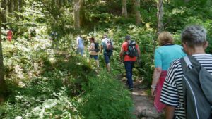 Feierabendwanderung im Glottertal