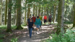 Feierabendwanderung im Glottertal